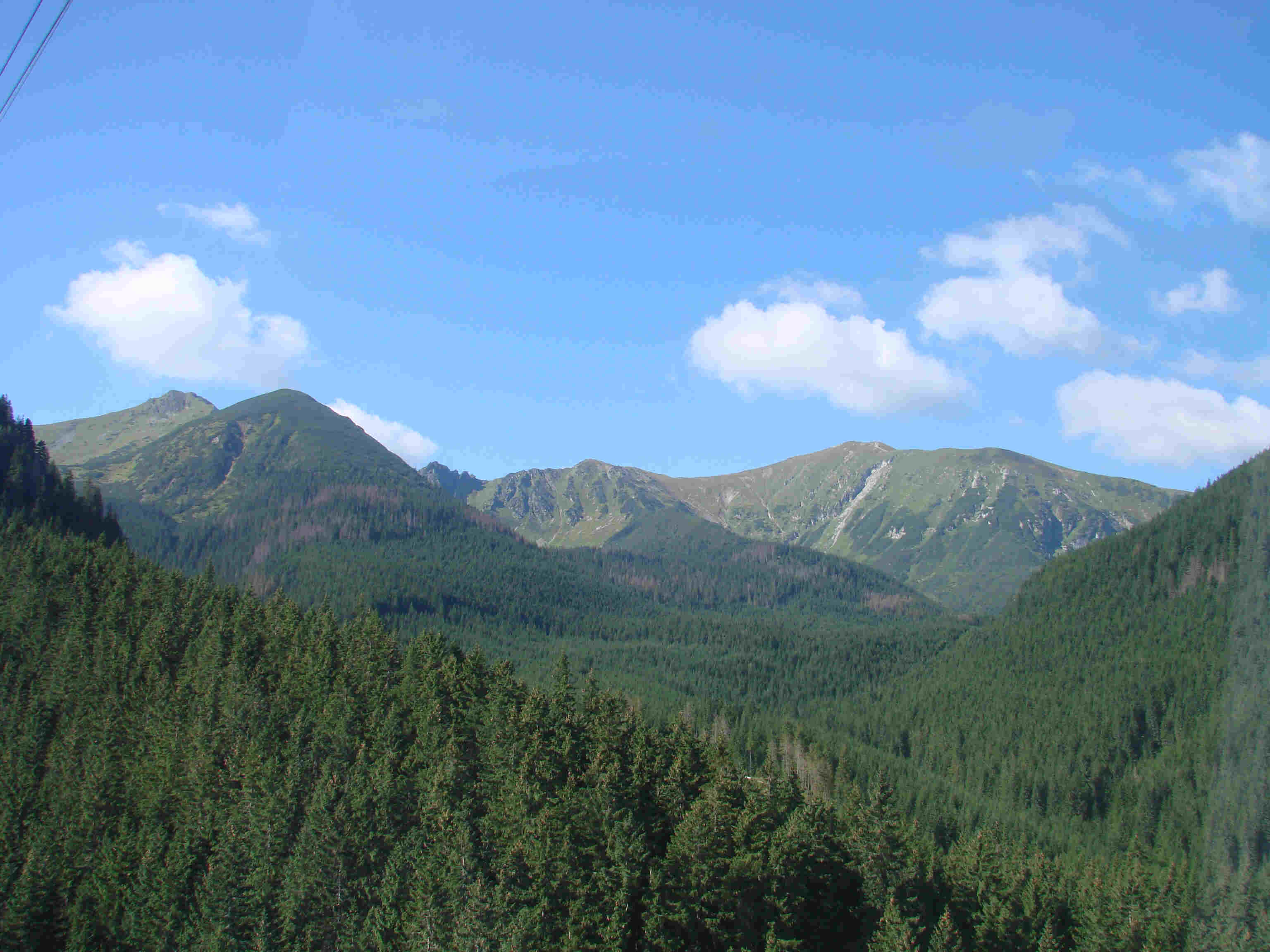 Widok z Grzesia